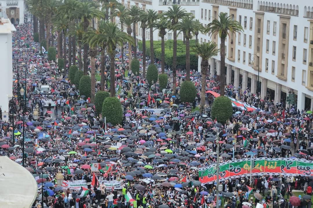 حماس تدعو إلى حراك عالمي وأيام غضب لوقف  الإبادة والتجويع  بغزة