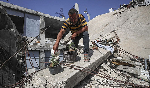 "فاو": 4.6% فقط من أراضي قطاع غزة صالحة للزراعة