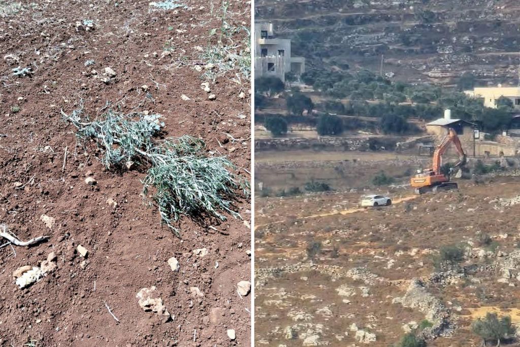 قوات الاحتلال تجرف أراضي المواطنين في بلدة إذنا
