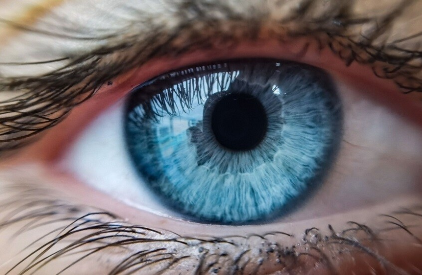 علماء يكشفون عن رابط غامض بين التنفس والبصر