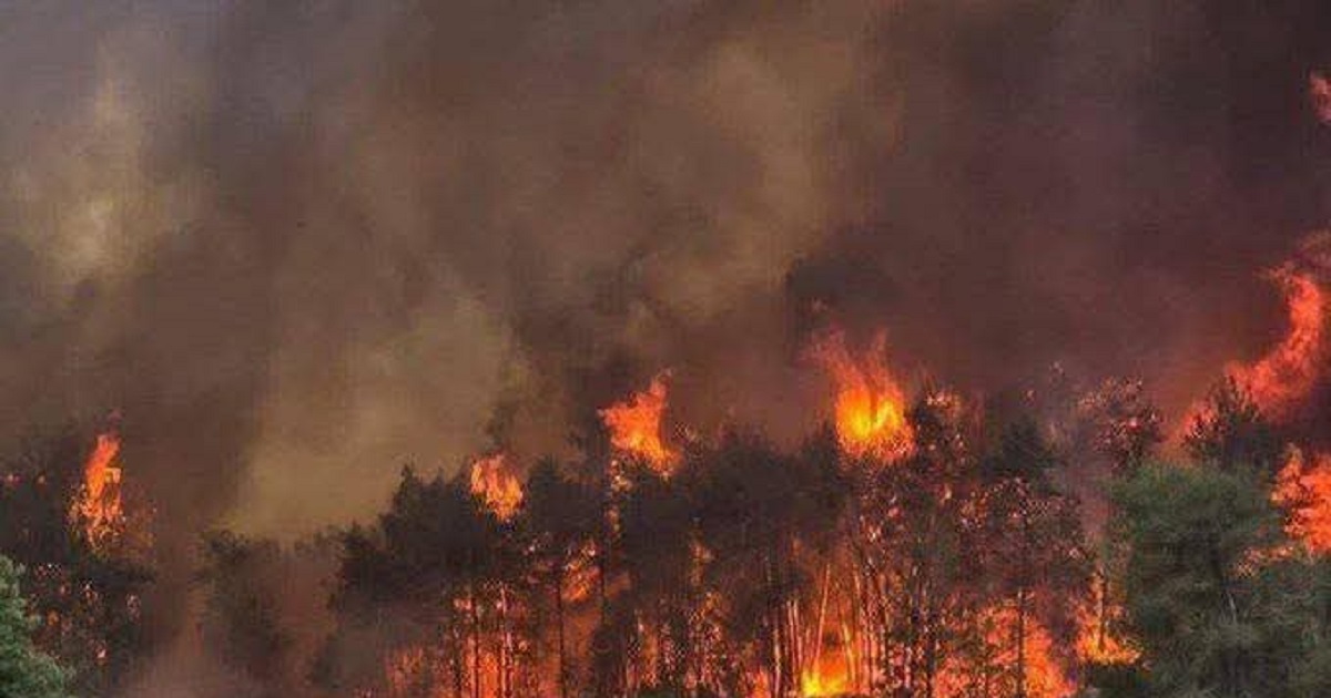 الحرائق في إسرائيل وغزة : تصعيد ميداني أم تكتيك عسكري جديد ؟