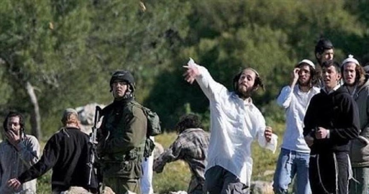 اصابات  في هجوم للمستوطنين  على  نسوسيا 