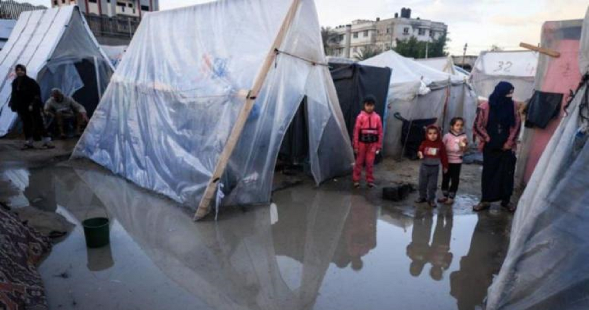 المواطن يدفع الثمن : نكبتان في غزة .. المنخفض الجوي العميق ودمار الحرب  