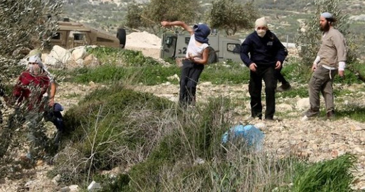 إصابات في هجوم للمستوطنين على تجمع بدوي شرق رمون 