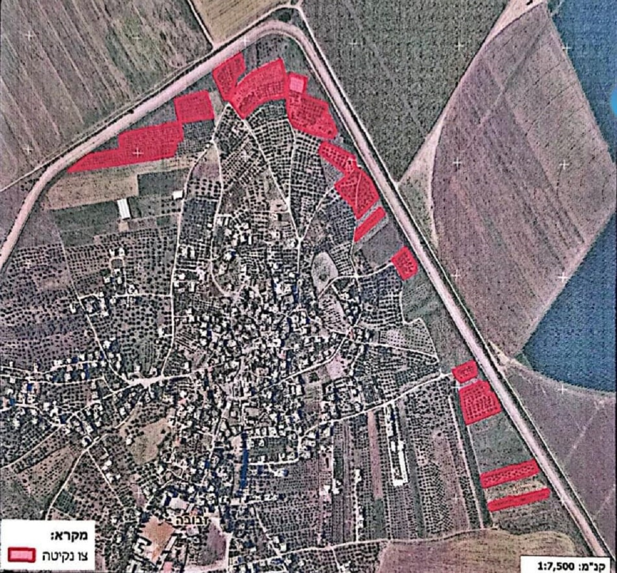 الاحتلال يصدر أمراً عسكرياً بإزالة الأشجار على مساحة 59 دونماً من اراضي زبوبا