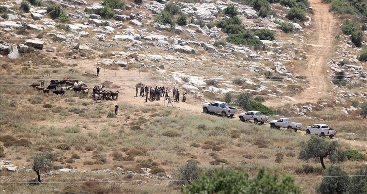 مستوطنون يقيمون بؤرة  جديدة في قرية  عرب المليحات