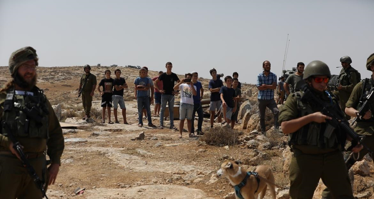 إصابة 4 مواطنين اعتدى عليهم  مستوطنون بمسافر يطا 