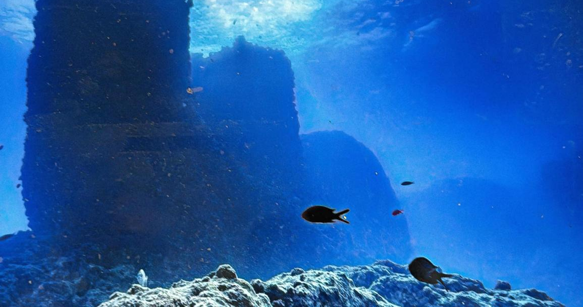 إكتشاف ميناء أثري مغمور بالمياه في الإسكندرية