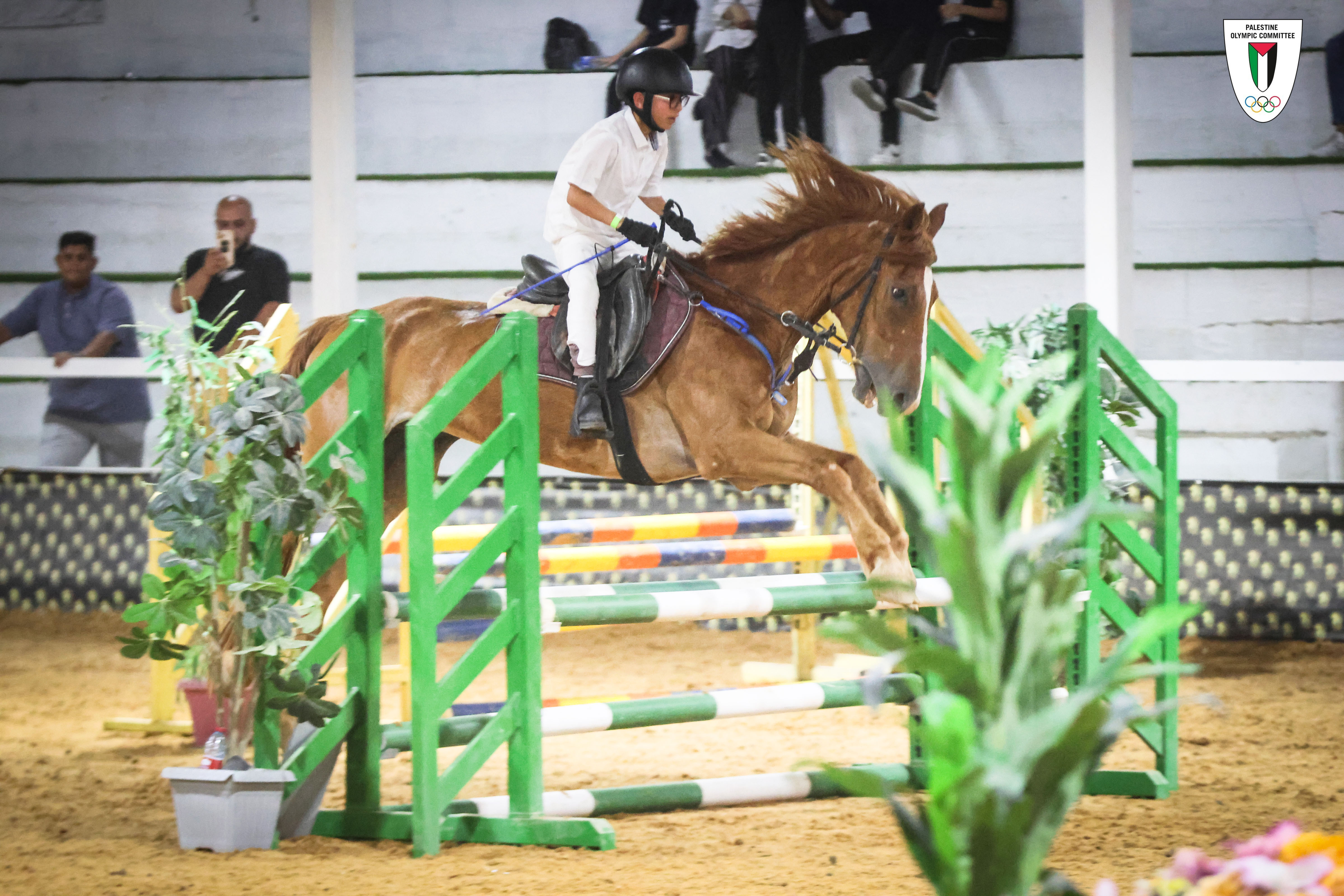 اتحاد الفروسية يفتتح باكورة بطولاته بتنظيم الجولة الأولى من دوري قفز الحواجز