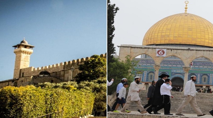 الأوقاف:  الاحتلال اقتحم الأقصى 26 مرة ومنع الأذان بالحرم الإبراهيمي 92 وقتا الشهر الماضي