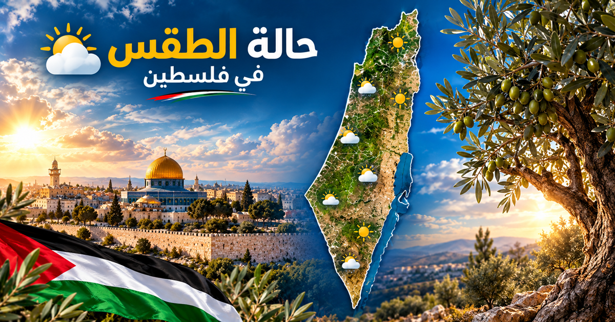 الأرصاد: أجواء غائمة جزئيًا ودرجات الحرارة حول معدلها.. وانخفاض طفيف الأربعاء