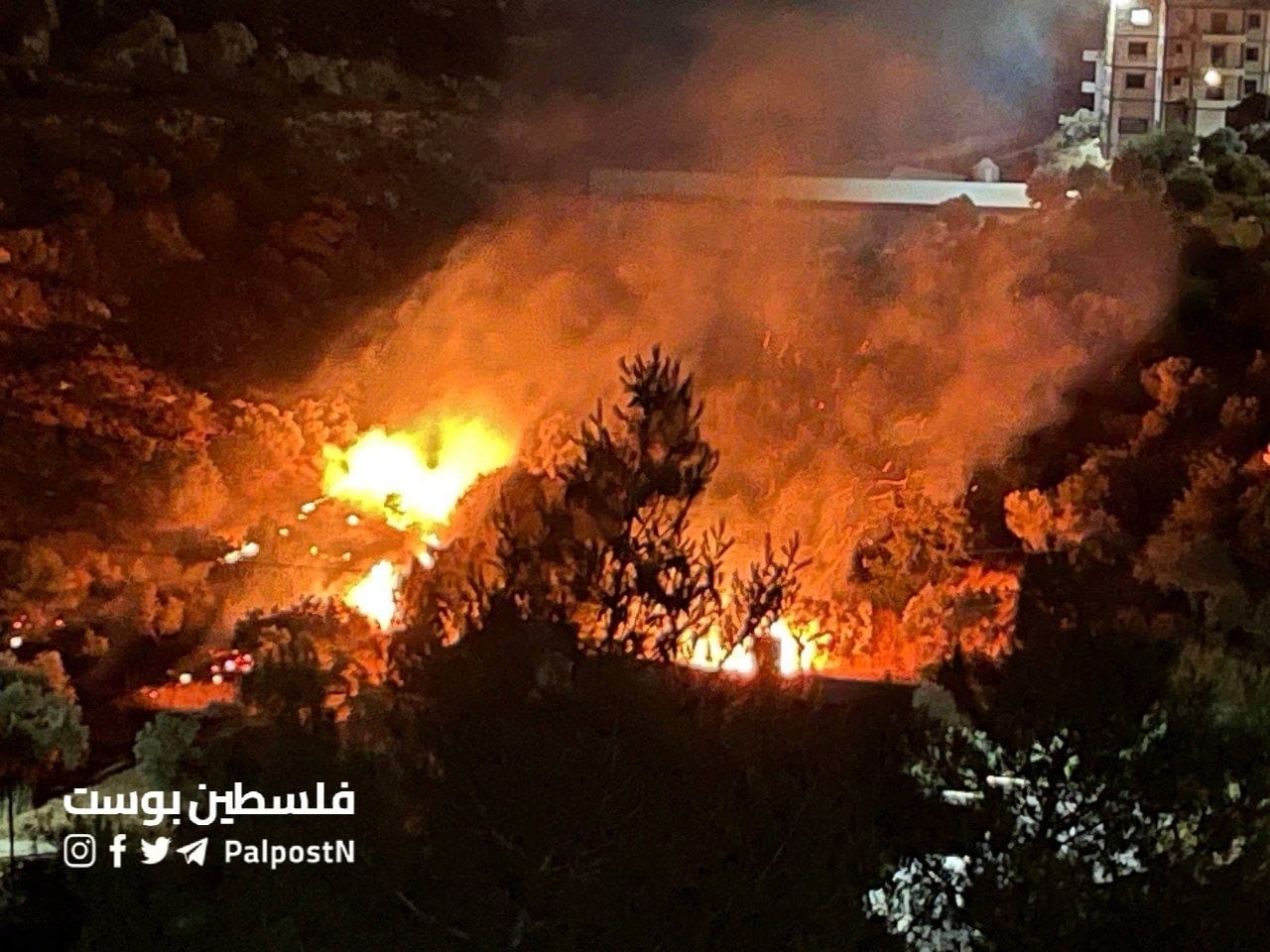 مستوطنون يشعلون النيران في أراضي المواطنين بقرية جالود