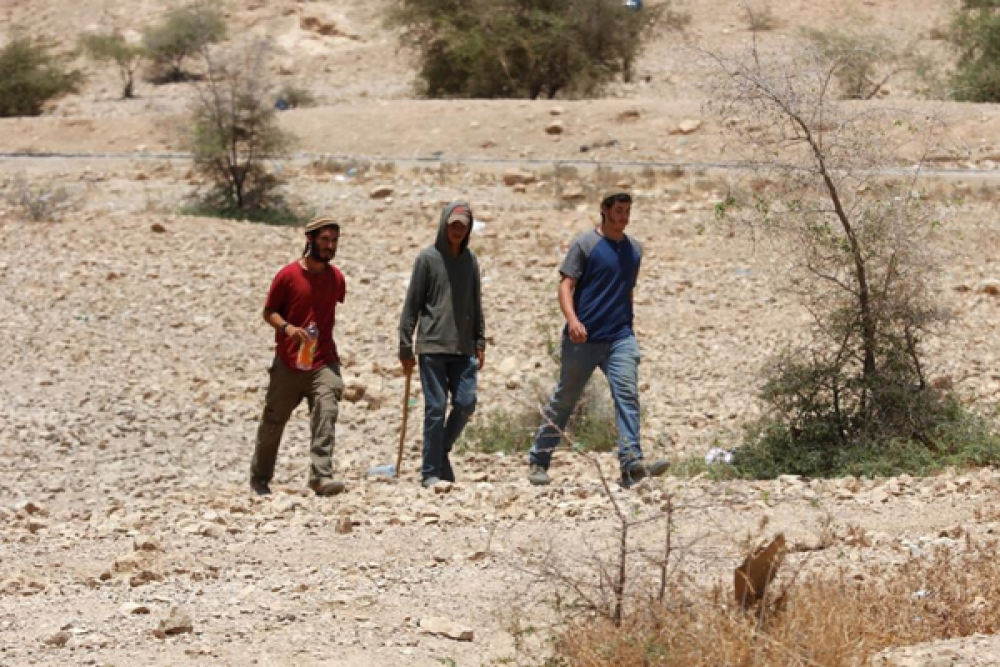 مستوطنون يقتحمون تجمع الحمة بالأغوار الشمالية