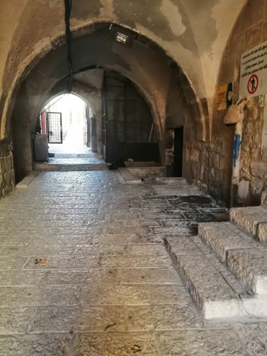 الست أميلا... 