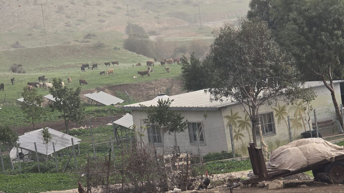 خربة المالح شرق محافظة طوباس  اعتداءات يومية تجعل البقاء شبه مستحيل