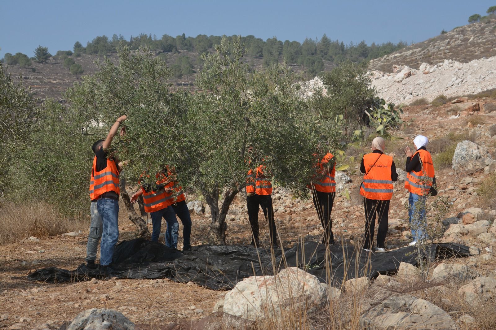 المبادرة الوطنية  تطلق حملة "لستم وحدكم" لمساندة المزارعين في قرية واد فوكين