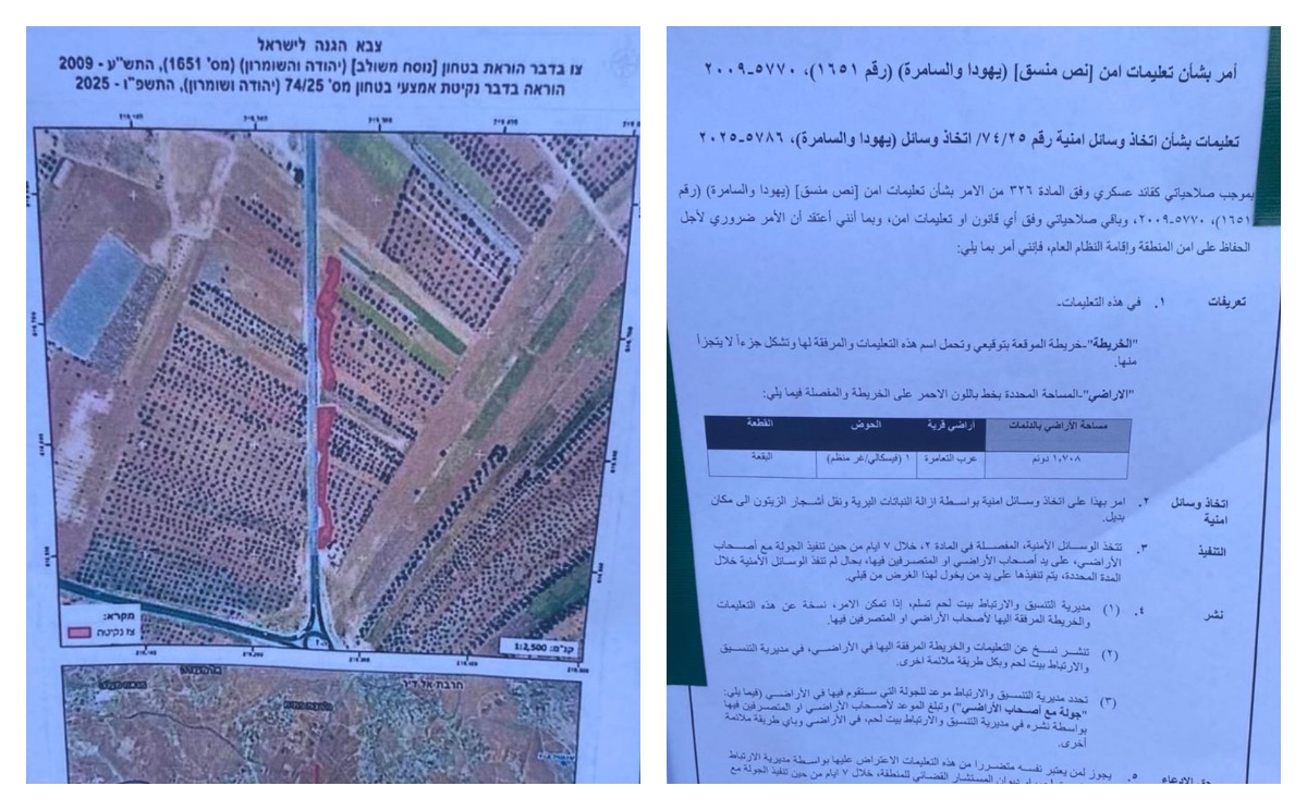 الاحتلال يخطر بإزالة مئات أشجار الزيتون في تقوع 