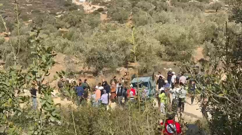 3 إصابات بينهم متضامن أجنبي جراء هجوم المستوطنين على ترمسعيا